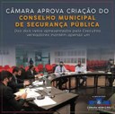 Câmara aprova a criação do Conselho Municipal de Segurança Pública e vota vetos do Executivo